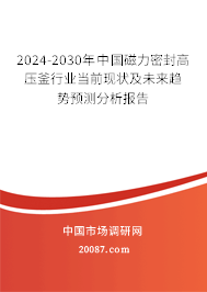 2024-2030年中国磁力密封高压釜行业当前现状及未来趋势预测分析报告