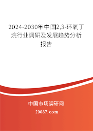 2024-2030年中国2,3-环氧丁烷行业调研及发展趋势分析报告