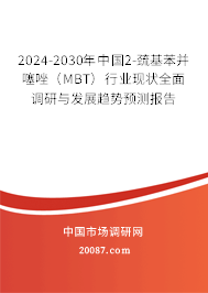 2024-2030年中国2-巯基苯并噻唑（MBT）行业现状全面调研与发展趋势预测报告