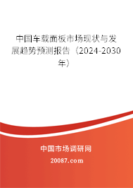 中国车载面板市场现状与发展趋势预测报告（2024-2030年）