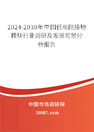 2024-2030年中国低电阻接地模块行业调研及发展前景分析报告