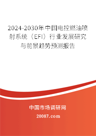 2024-2030年中国电控燃油喷射系统（EFI）行业发展研究与前景趋势预测报告