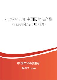 2024-2030年中国防静电产品行业研究与市场前景