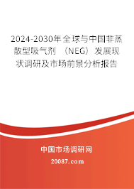 2024-2030年全球与中国非蒸散型吸气剂 （NEG）发展现状调研及市场前景分析报告