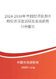 2024-2030年中国甘肃能源市场现状深度调研及发展趋势分析报告