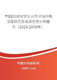 中国高效化学灭火剂YPB市场深度研究及发展前景分析报告（2024-2030年）