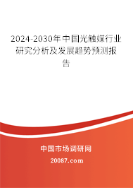 2024-2030年中国光触媒行业研究分析及发展趋势预测报告