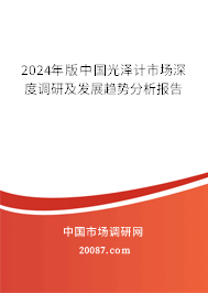 2024年版中国光泽计市场深度调研及发展趋势分析报告