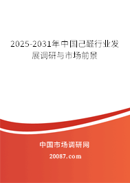 2025-2031年中国己醛行业发展调研与市场前景 2025-2031年中国己醛行业发展调研与市场前景
