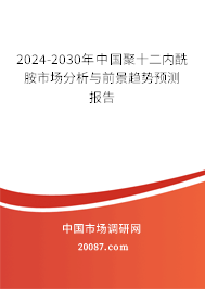 2024-2030年中国聚十二内酰胺市场分析与前景趋势预测报告