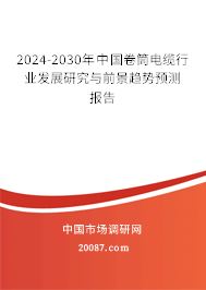 2024-2030年中国卷筒电缆行业发展研究与前景趋势预测报告