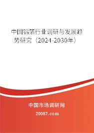 中国铝箔行业调研与发展趋势研究（2024-2030年）