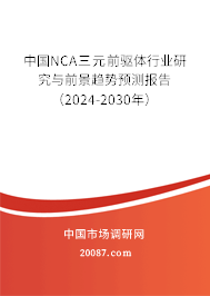 中国NCA三元前驱体行业研究与前景趋势预测报告（2024-2030年）