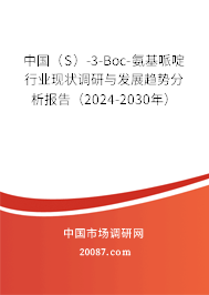 中国（S）-3-Boc-氨基哌啶行业现状调研与发展趋势分析报告（2024-2030年）