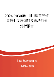 2024-2030年中国U型荧光灯管行业发展调研及市场前景分析报告