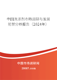 中国洗涤剂市场调研与发展前景分析报告（2024年）