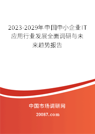 2023-2029年中国中小企业IT应用行业发展全面调研与未来趋势报告