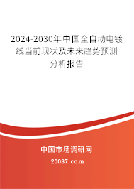 2024-2030年中国全自动电镀线当前现状及未来趋势预测分析报告