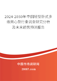 2024-2030年中国轻型卧式多级离心泵行业调查研究分析及未来趋势预测报告