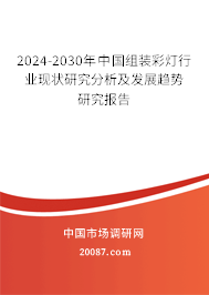 2024-2030年中国组装彩灯行业现状研究分析及发展趋势研究报告