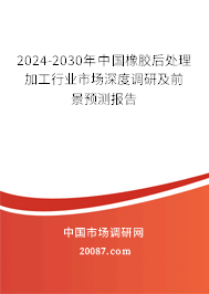 2024-2030年中国橡胶后处理加工行业市场深度调研及前景预测报告