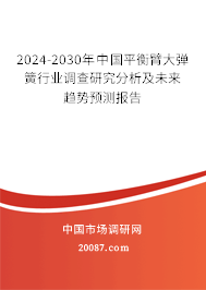 2024-2030年中国平衡臂大弹簧行业调查研究分析及未来趋势预测报告