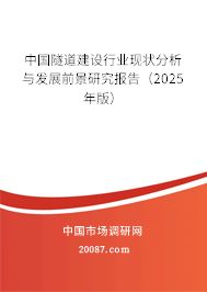 中国隧道建设行业现状分析与发展前景研究报告(2025年版) 中国隧道建设行业现状分析与发展前景研究报告(2025年版)