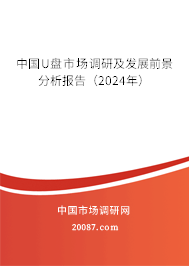 中国U盘市场调研及发展前景分析报告（2024年）