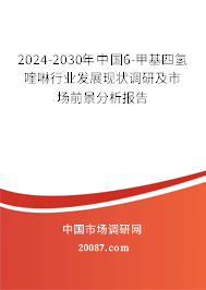 2024-2030年中国6-甲基四氢喹啉行业发展现状调研及市场前景分析报告