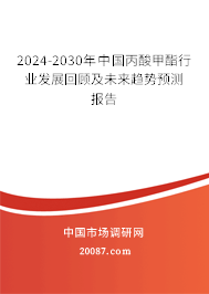 2024-2030年中国丙酸甲酯行业发展回顾及未来趋势预测报告