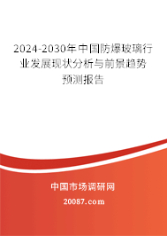 2024-2030年中国防爆玻璃行业发展现状分析与前景趋势预测报告