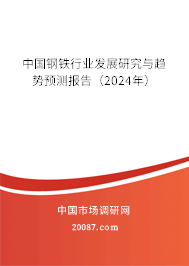 中国钢铁行业发展研究与趋势预测报告（2024年）