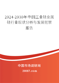 2024-2030年中国工业硅金属硅行业现状分析与发展前景报告