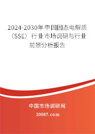 2024-2030年中国固态电解质（SSE）行业市场调研与行业前景分析报告