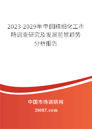 2023-2029年中国精细化工市场调查研究及发展前景趋势分析报告