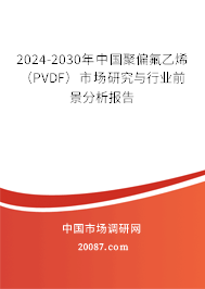 2024-2030年中国聚偏氟乙烯（PVDF）市场研究与行业前景分析报告