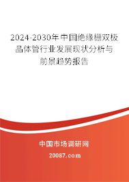 2024-2030年中国绝缘栅双极晶体管行业发展现状分析与前景趋势报告