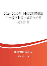 2024-2030年中国流延膜挤出生产线行业现状调研与前景分析报告