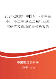 2024-2030年中国N’-苯甲基-N，N-二甲基乙二胺行业发展研究及市场前景分析报告