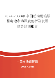 2024-2030年中国起动用铅酸蓄电池市场深度剖析及发展趋势预测报告