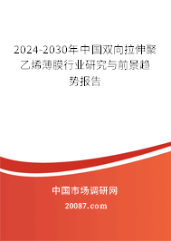 2024-2030年中国双向拉伸聚乙烯薄膜行业研究与前景趋势报告