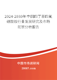 2024-2030年中国四丁基四氟硼酸铵行业发展研究及市场前景分析报告