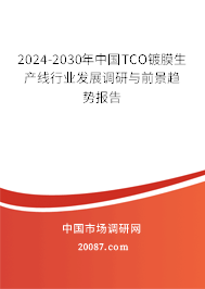 2024-2030年中国TCO镀膜生产线行业发展调研与前景趋势报告