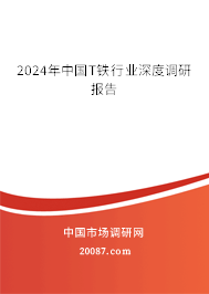 2024年中国T铁行业深度调研报告