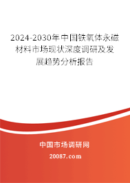 2024-2030年中国铁氧体永磁材料市场现状深度调研及发展趋势分析报告