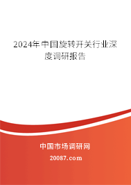 2024年中国旋转开关行业深度调研报告