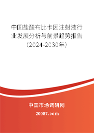 中国盐酸布比卡因注射液行业发展分析与前景趋势报告（2024-2030年）