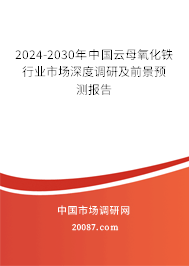 2024-2030年中国云母氧化铁行业市场深度调研及前景预测报告