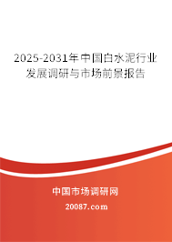 2025-2031年中国白水泥行业发展调研与市场前景报告 2025-2031年中国白水泥行业发展调研与市场前景报告