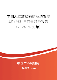 中国大脑放松辅助系统发展现状分析与前景趋势报告（2024-2030年）